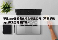 蘋果app開發(fā)者選項在哪里打開（蘋果手機(jī)app開發(fā)者哪里打開）